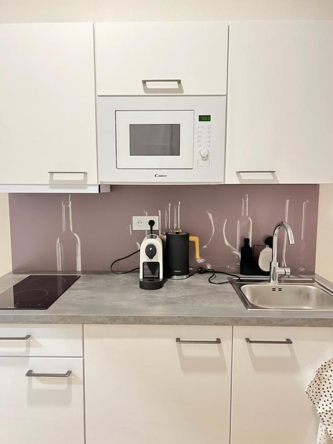 New Chain Florenc Appartement Prague